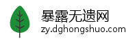 暴露无遗网